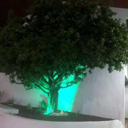 Apartment Con Vistamar Y Piscina Climatizada En Garden *