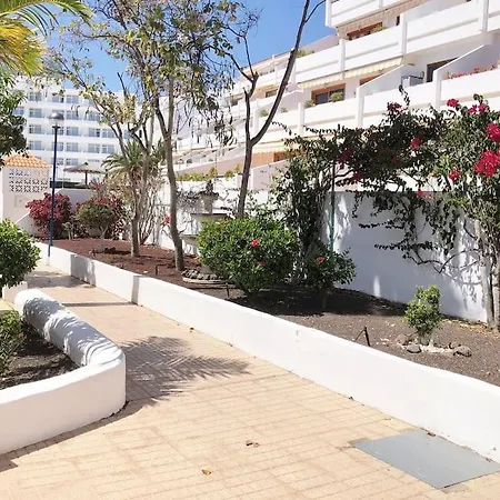 Con Vistamar Y Piscina Climatizada En Garden Apartment Playa Fanabe