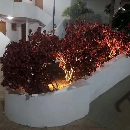 Con Vistamar Y Piscina Climatizada En Garden