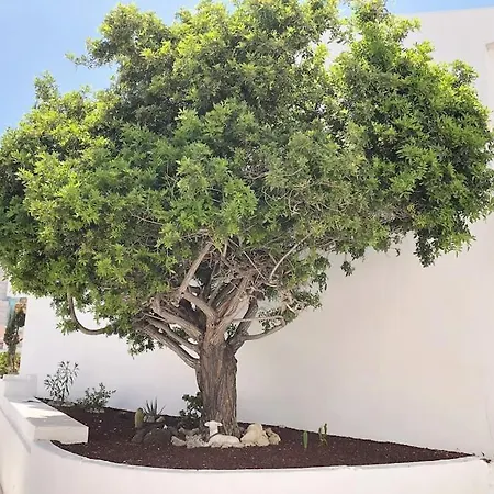 Con Vistamar Y Piscina Climatizada En Garden Apartment