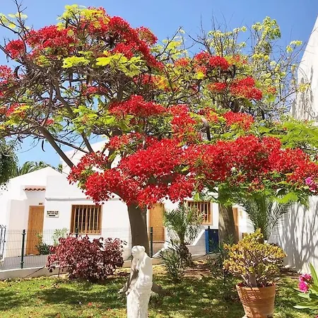 Apartment Con Vistamar Y Piscina Climatizada En Garden